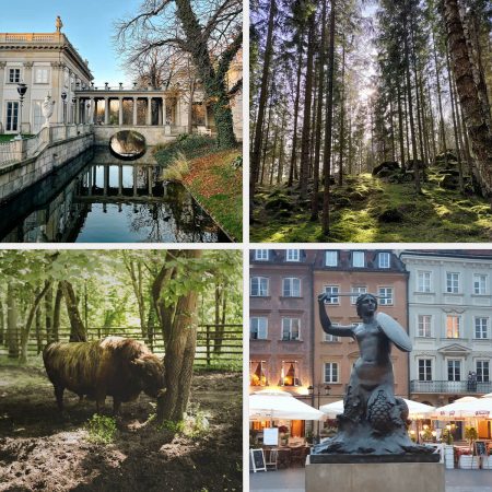 Warsaw - Białowieża