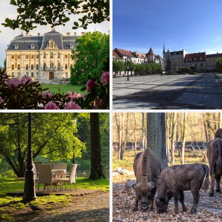 One-Day Trip to Pszczyna
