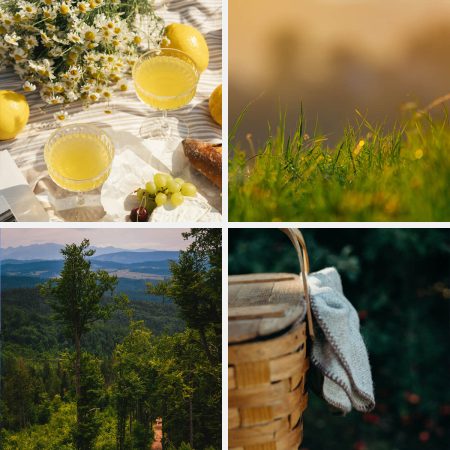 Picnic with Local Delicacies on a Beskid Mountain Slope