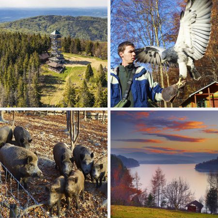 👨‍👩‍👧‍👦 FAMILY: Mountain Adventure for All Ages