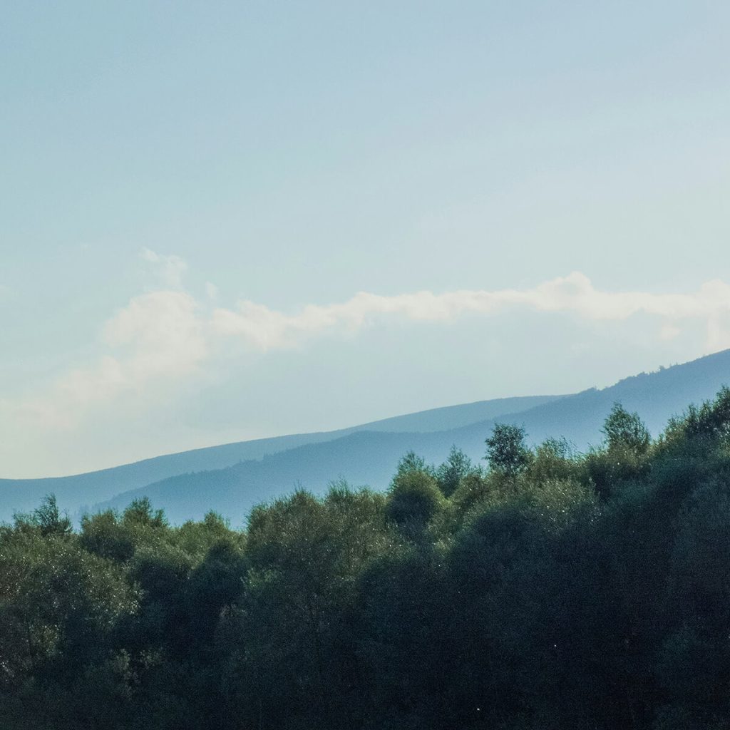picnic-in-beskid-mountains-1